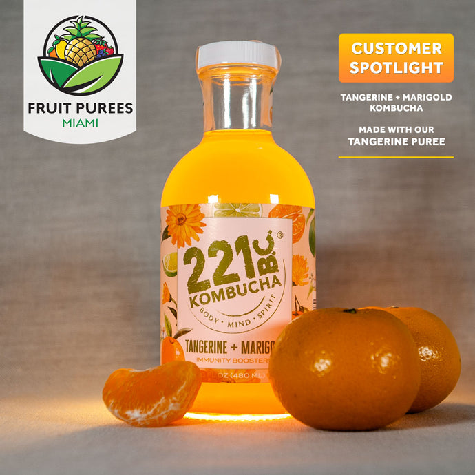 Kombucha 221 B.C. and Fruit Purees Miami collaborate on Kombucha Drink
