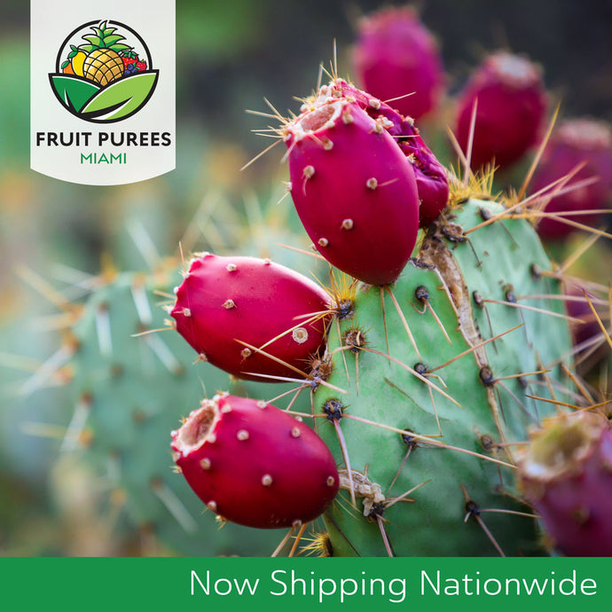 Introducing Nationwide Shipping of Ruby Red Prickly Pear Aseptic Fruit Puree for Craft Beer Brewers